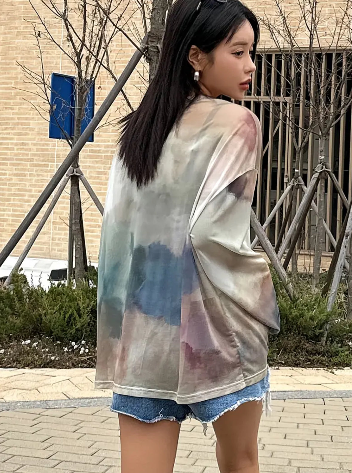 Long Sleeve Sheer Top